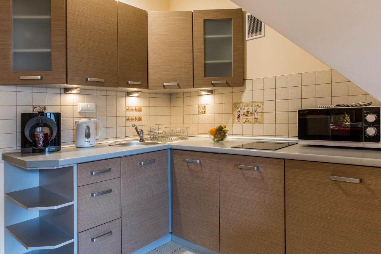 Apart Styl Apartament Roza Pustyni, Centrum Miasta زاكوباني المظهر الخارجي الصورة